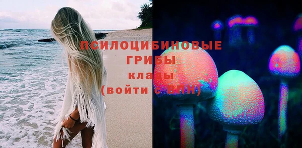 эйфоретик Дмитриев